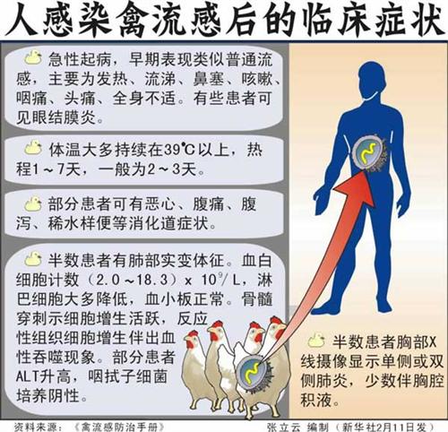 广东流感最新动态，现状解析与未来趋势展望